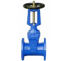 明杆弹性座封闸阀