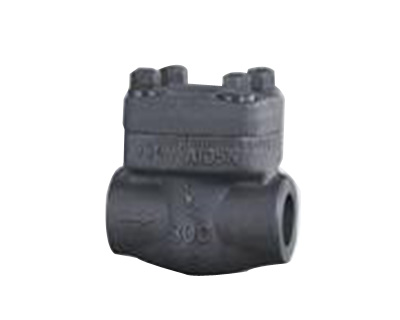 美标锻钢止回阀