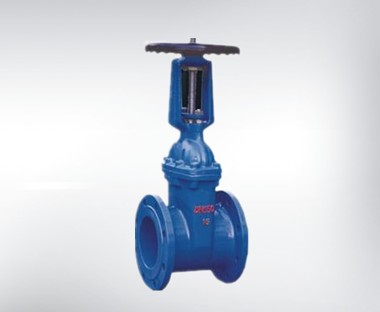 明杆弹性座封闸阀